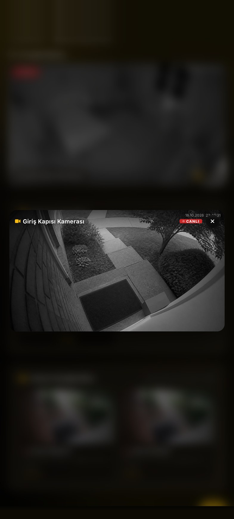 Canlı Kamera ekranı